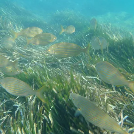 아파트호텔 Anemos *