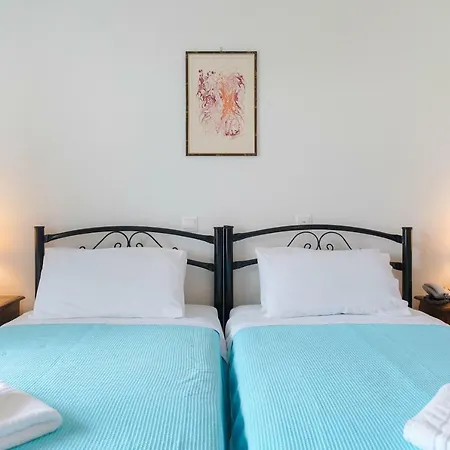 Anemos 크리시 아모우디아